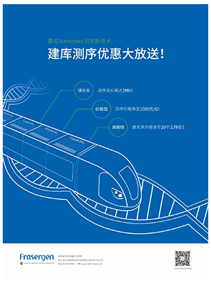 DM單頁